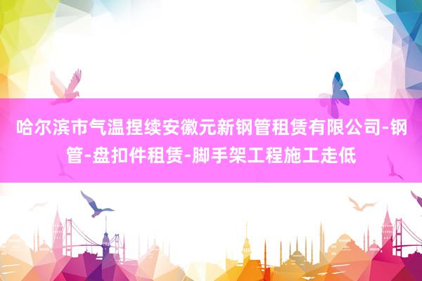 哈尔滨市气温捏续安徽元新钢管租赁有限公司-钢管-盘扣件租赁-脚手架工程施工走低