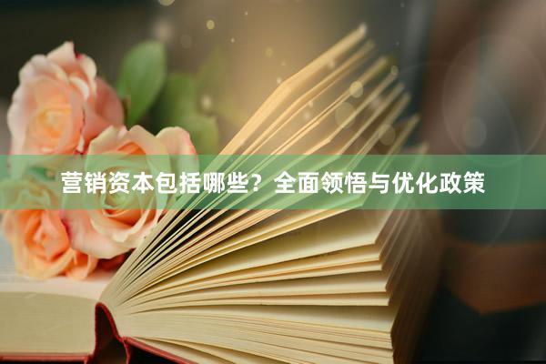 营销资本包括哪些？全面领悟与优化政策