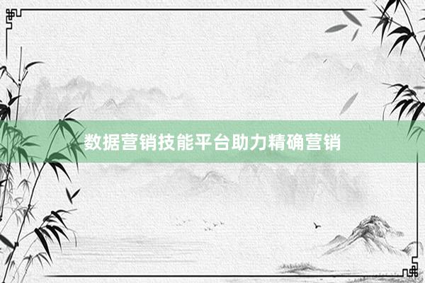 数据营销技能平台助力精确营销